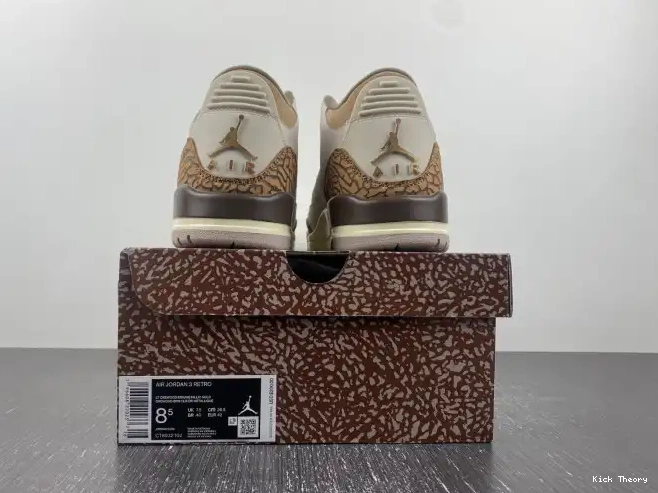 Kick Theory 3 Air CT8532-102 Palomino Jordan 0614